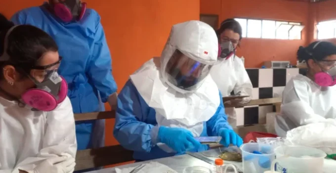 hantavirus-parana-sesa-660x372.jpg