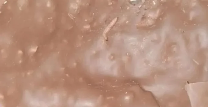 vendedora-diz-que-ovo-de-pascoa-da-ferrero-chegou-com-larva-1650655373141_v2_900x506-960x540